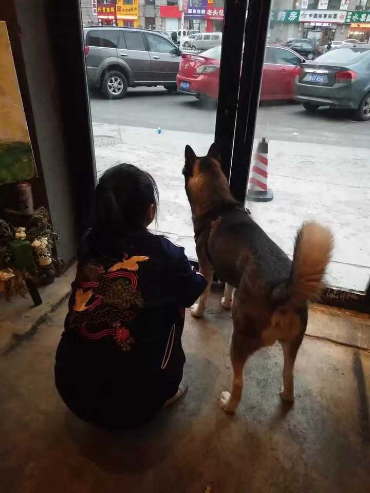 优质问答真实经验分享_优质猪肉生产技术问答_黄瓜超高产优质栽培技术问答
