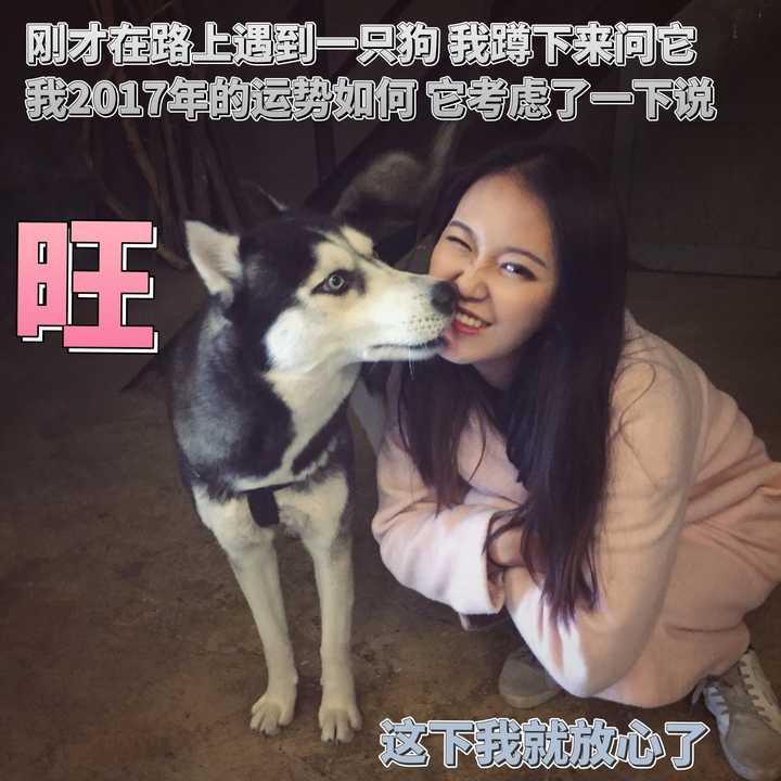 优质问答真实经验分享_黄瓜超高产优质栽培技术问答_优质猪肉生产技术问答