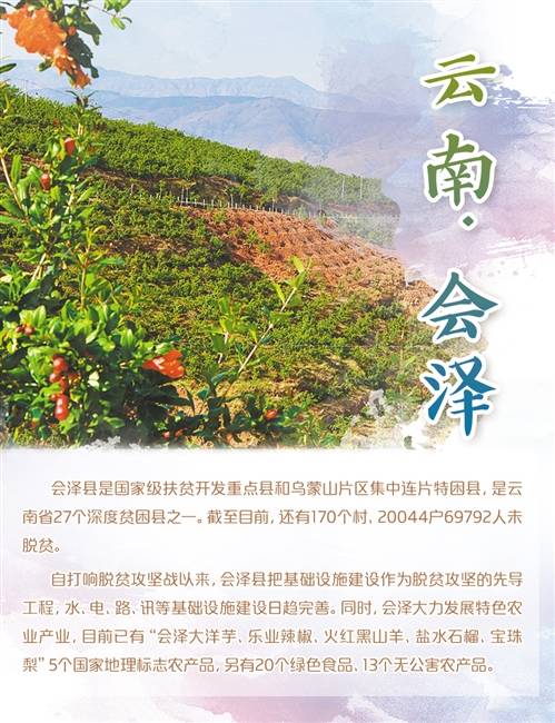 云南种植蘑菇致富_云南蘑菇种植合作公司_云南蘑菇基地