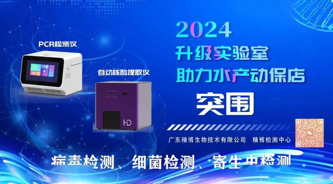 去年早春的时候一度突破25元/斤，这个品种价格还可以，抢高价要做好这些育苗工作