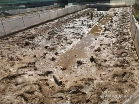 养殖致富经_早养殖早致富_致富养殖视频