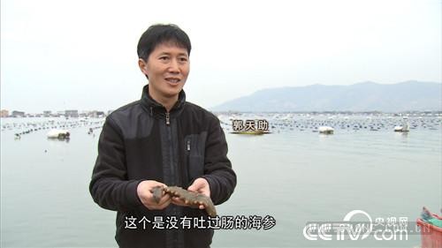 [致富经]郭天助：冒险大量收海参的背后