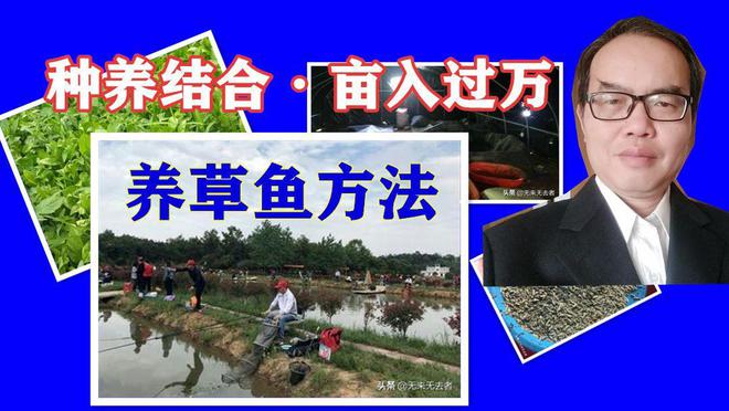 草鱼池塘养鱼技术视频_草鱼池塘养殖技术_养殖草鱼池塘技术要点