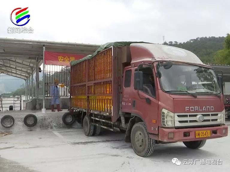 肉鸡加黄方法_三黄肉鸡养殖技术_肉鸡养殖工艺流程