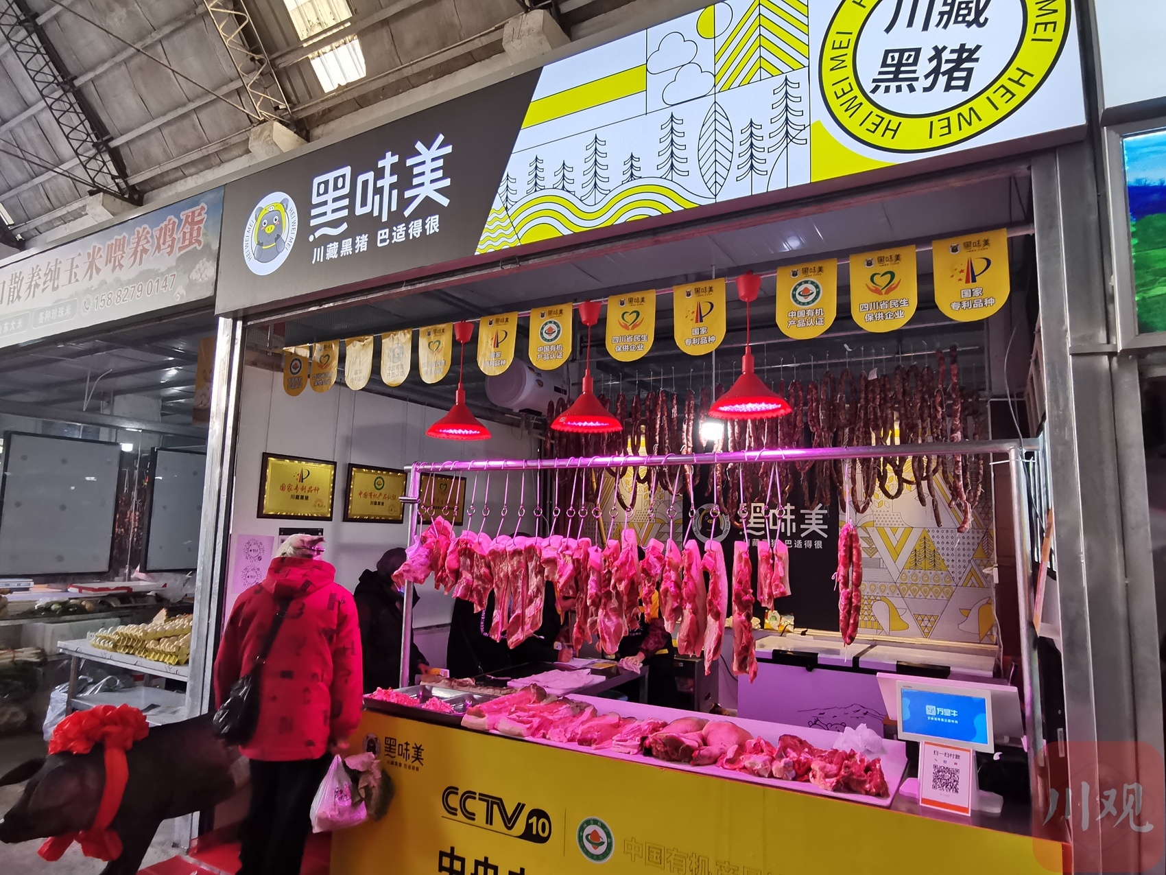 养殖黑猪赚钱吗_黑猪养殖 致富_养殖黑猪前景怎么样