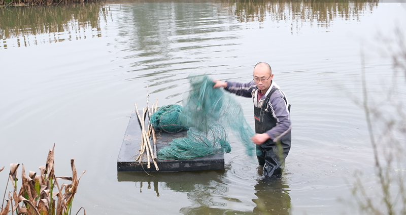 农村龙虾养殖致富_致富龙虾养殖农村有补贴吗_致富龙虾养殖农村可以养吗