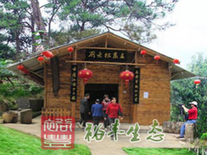 致富信息孔雀养殖_致富孔雀养殖信息怎么写_致富孔雀养殖信息查询