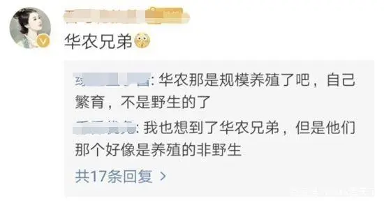 中央七套致富经竹鼠_中央致富经全集_中央台致富节目
