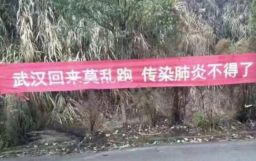 致富经竹鼠养殖视频_恩施致富经竹鼠养_竹鼠养殖销路