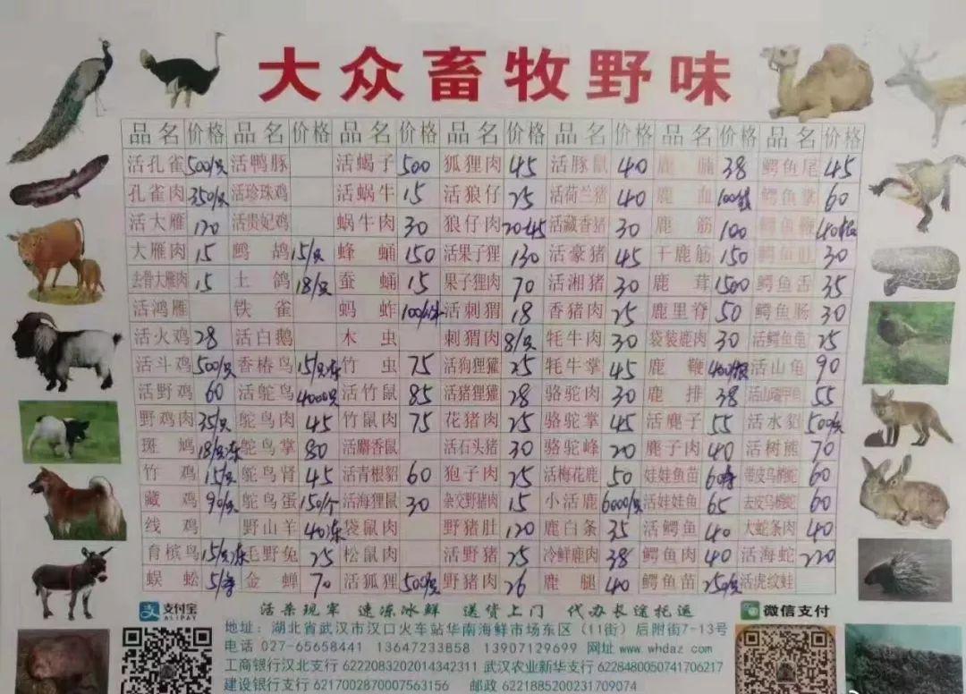 致富经竹鼠养殖视频_恩施致富经竹鼠养_竹鼠养殖销路