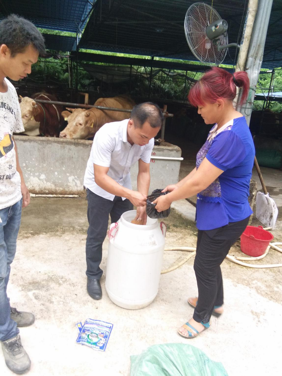 养殖羊圈技术视频_圈羊养殖技术_圈养羊养殖技术