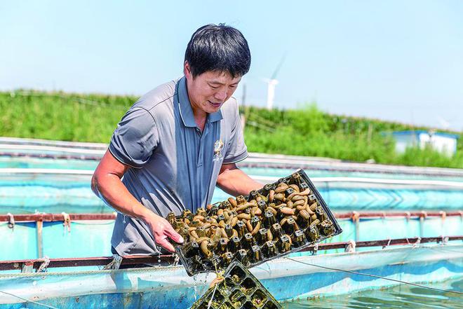 养殖致富是好事_致富好项目养殖_致富经养殖项目