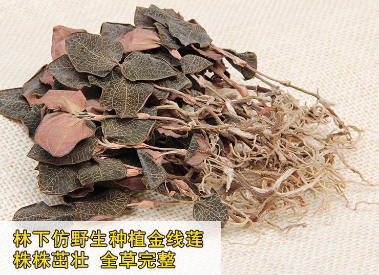 金线莲养殖技术_养殖金线莲的功效与作用_家养金线莲