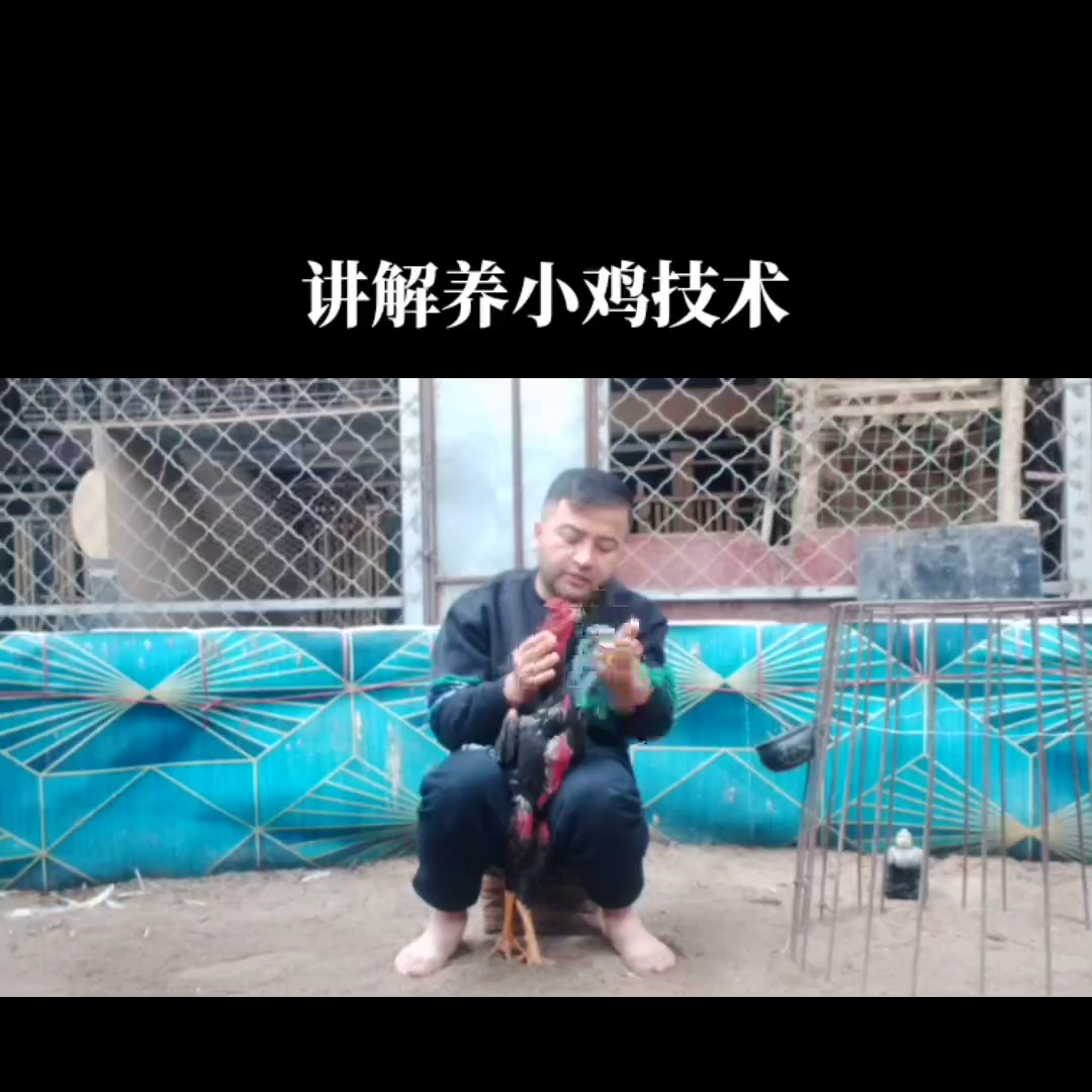 种免养殖技术视频播放_养殖技术视频大全_下载农业养殖视频