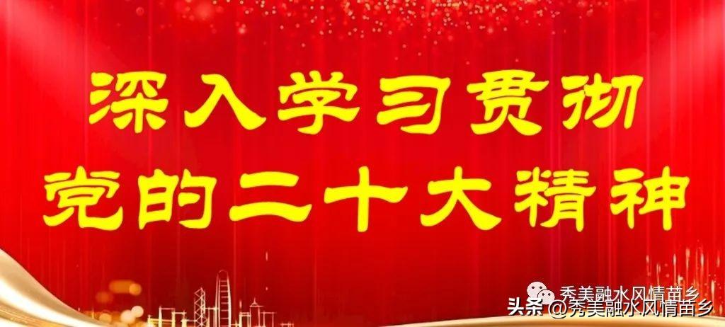 小小钩藤 “钩”出促农增收路