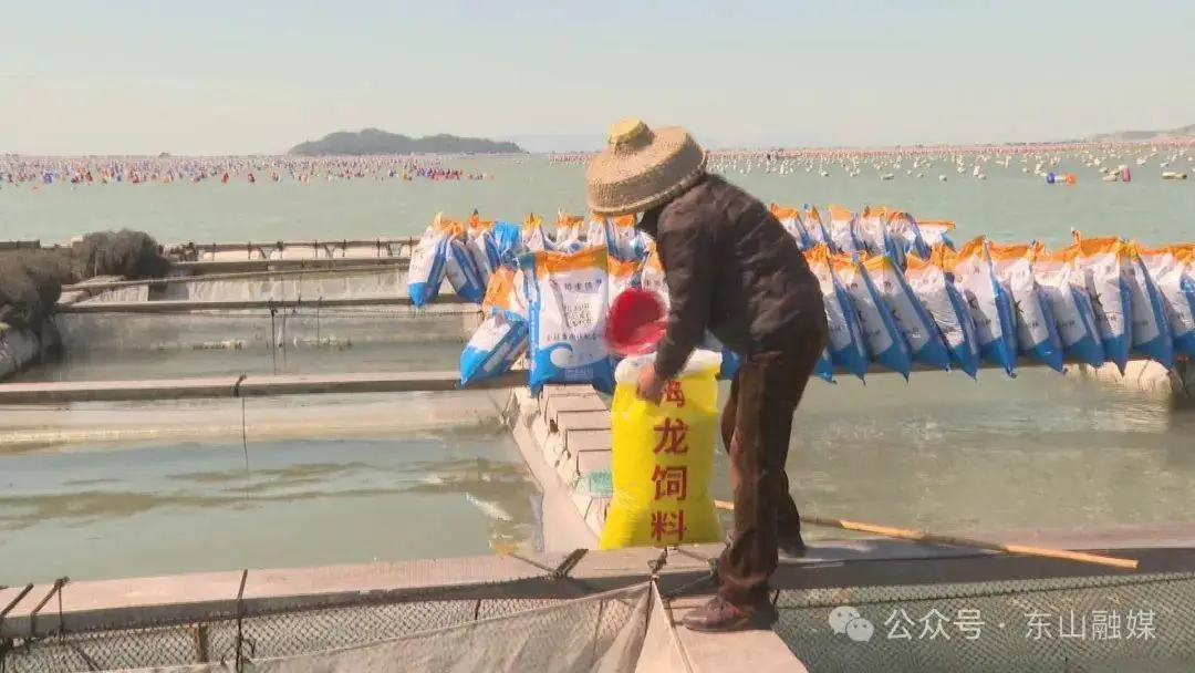 鲳鱼养殖成本和利润_鲳鱼养殖致富_致富养殖鲳鱼图片