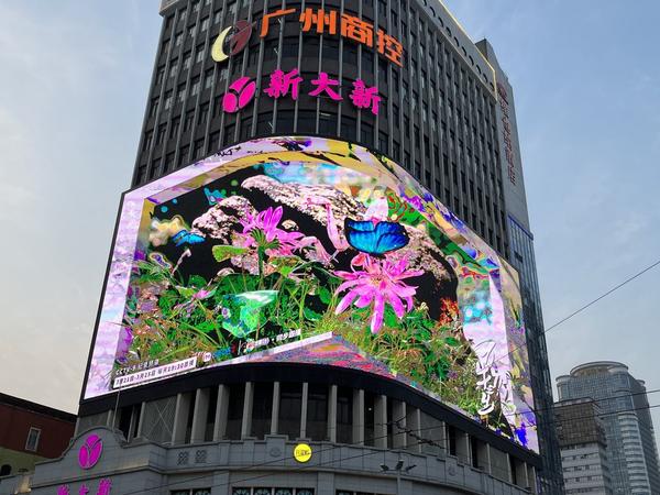 致富养殖视频_cctv7致富经养鸭视频_cctv一7致富经养鸭视频