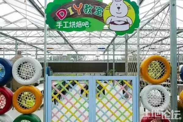 致富经苹果树盆景视频_苹果盆景致富经视频_视频致富盆景苹果手机下载