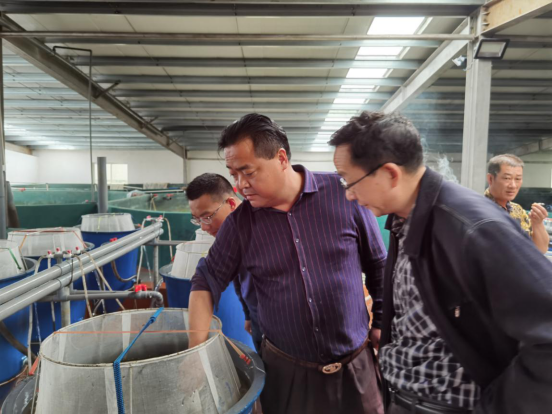 银鲫养殖视频_异育银鲫的育种方法_异育银鲫养殖技术