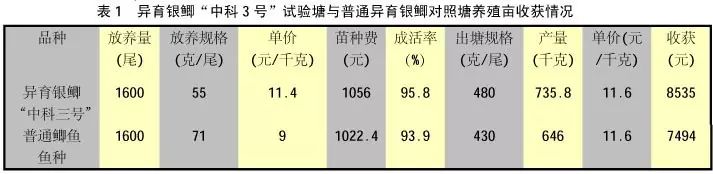 异育银鲫鱼_异育银鲫养殖技术_异育银鲫养殖情况