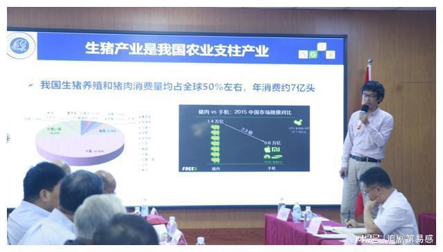 2巴马香猪养殖技术_养殖巴马香猪技术视频_养殖巴马香猪技术要求