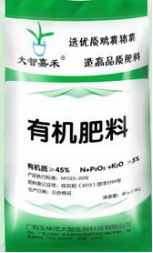 阳台豌豆种植技术要点_阳台豌豆种植技术_阳台豌豆苗的种植方法和时间
