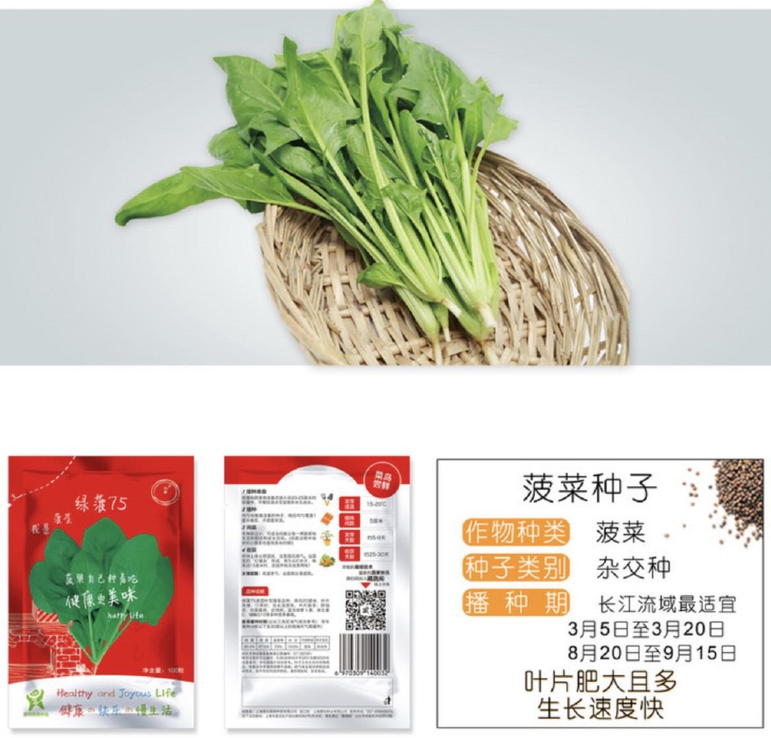 阳台豌豆种植技术要点_阳台豌豆苗的种植方法和时间_阳台豌豆种植技术