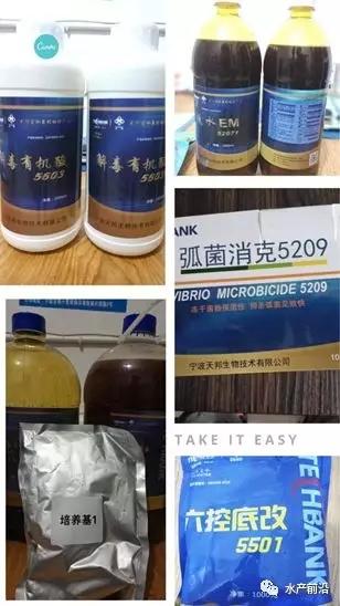 淡水青虾的养殖新技术_青虾养殖水质要求_淡水青虾怎么养殖技术