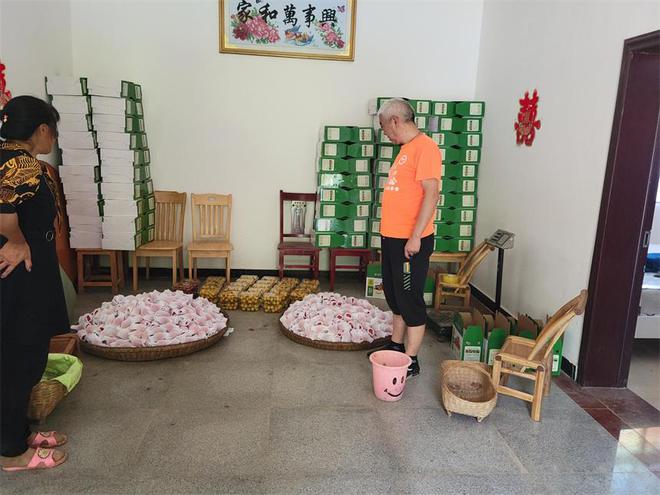 种植西红柿致富人_致富经西红柿种植技术_西红柿种植收益