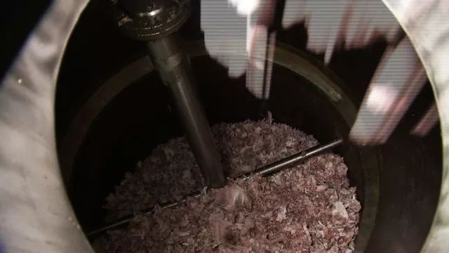 cctv7致富经猪蹄_致富经餐饮牛蹄_致富经红烧猪脚