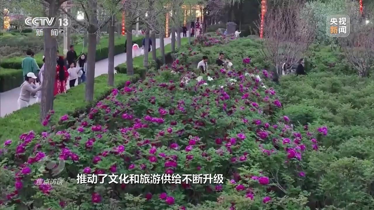 宁夏养殖户_宁夏养殖基地_宁夏养殖致富项目