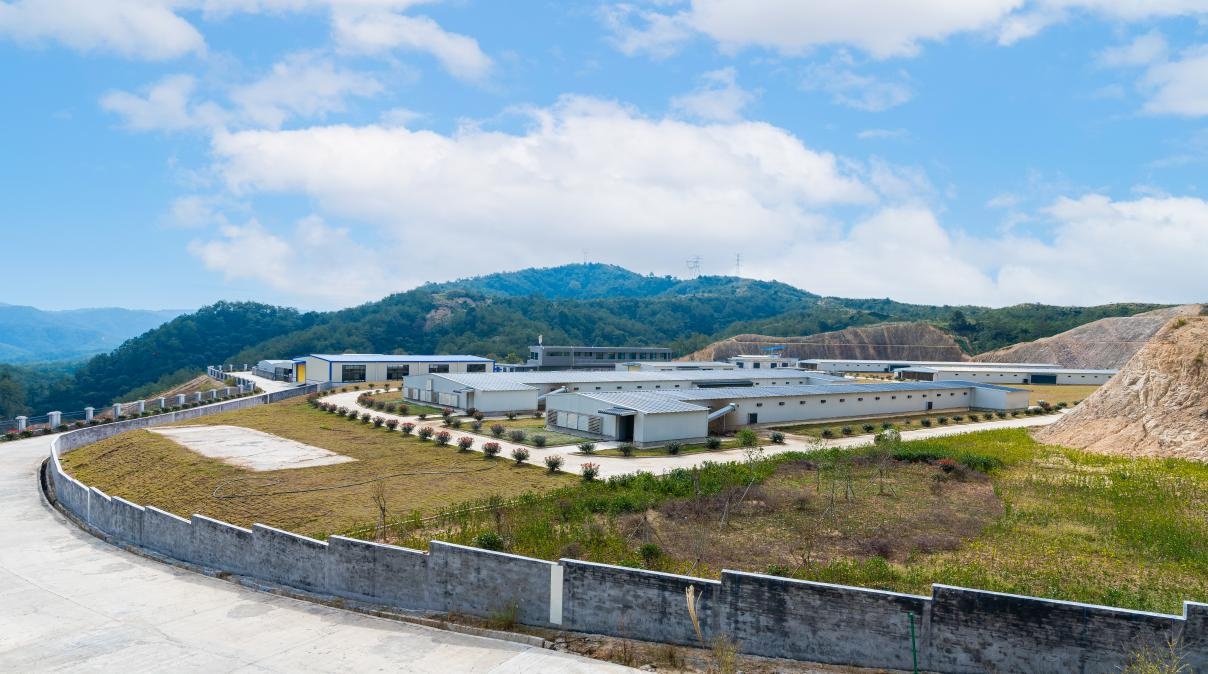 散养鸡养殖致富_养散养鸡利润与成本_致富养殖散养鸡怎么样