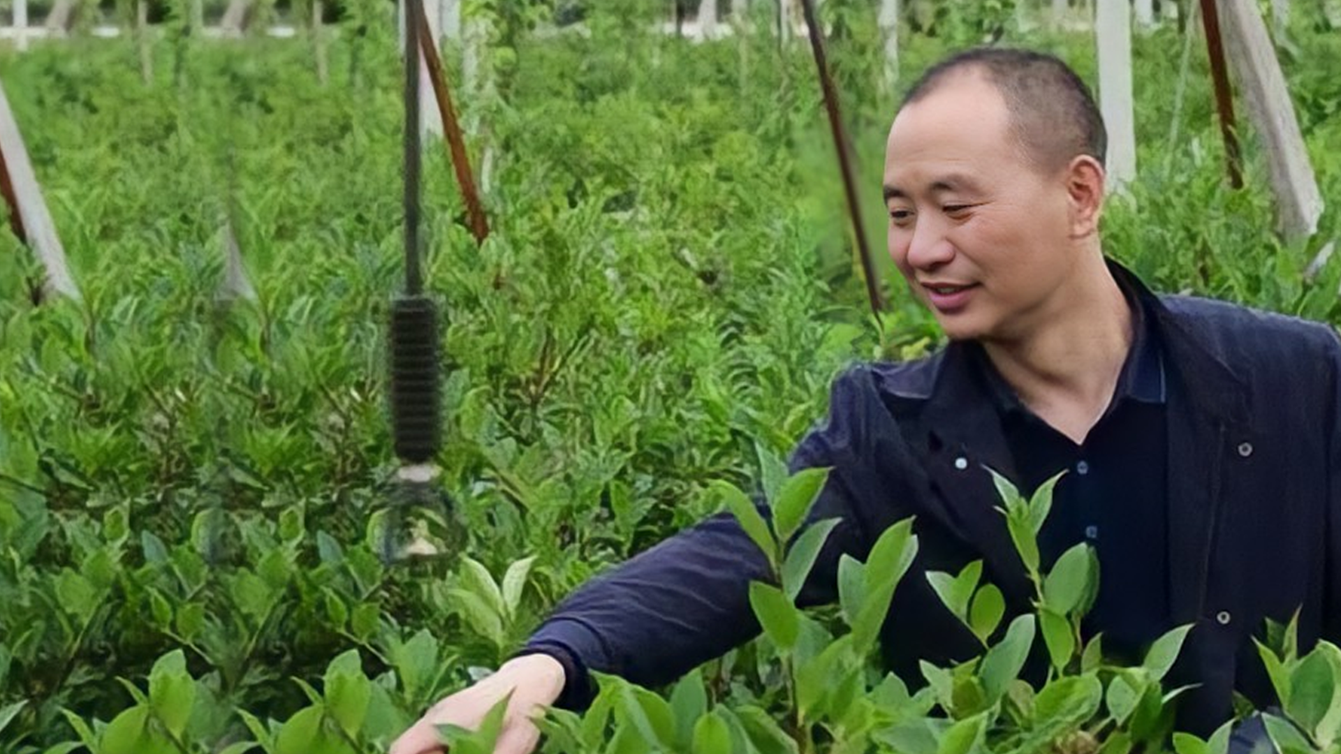 致富经果树种植视频_致富果种植技巧_致富种植视频全集