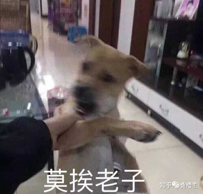 优秀策略_策略精选_优质回答的经验和策略