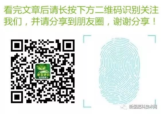冬季黄瓜苗定植与管理_冬季黄瓜育苗技术_冬季黄瓜种植技术视频