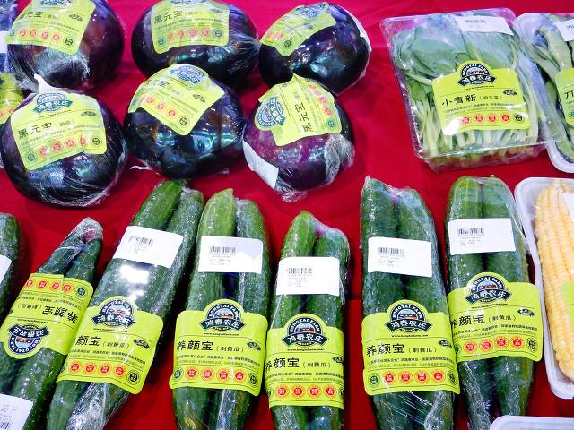 农村致富种植小项目_小型农村种植致富_致富小型种植农村农业项目