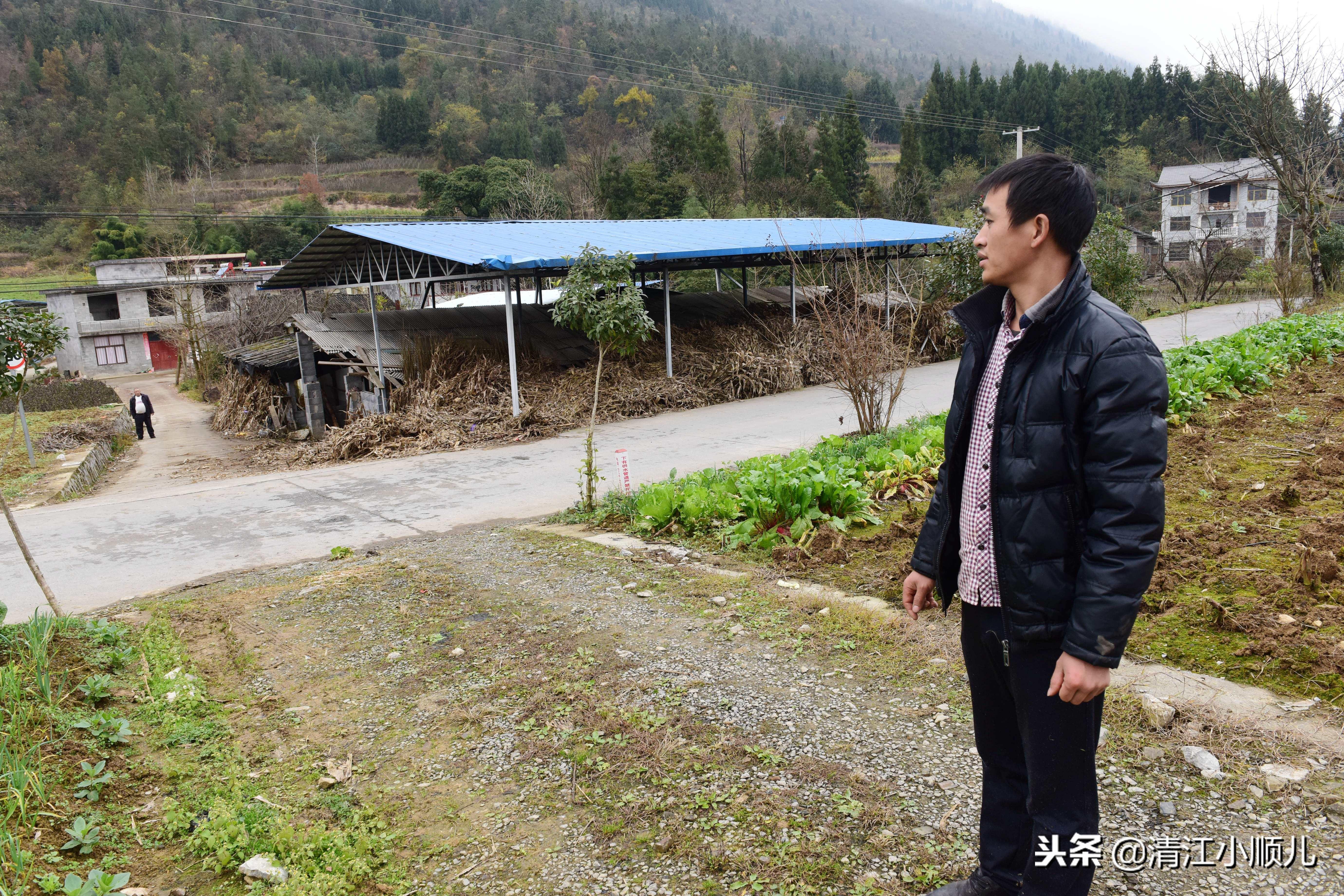 农村小型致富项目_几个有前景的农村种植致富项目_小型农村种植致富