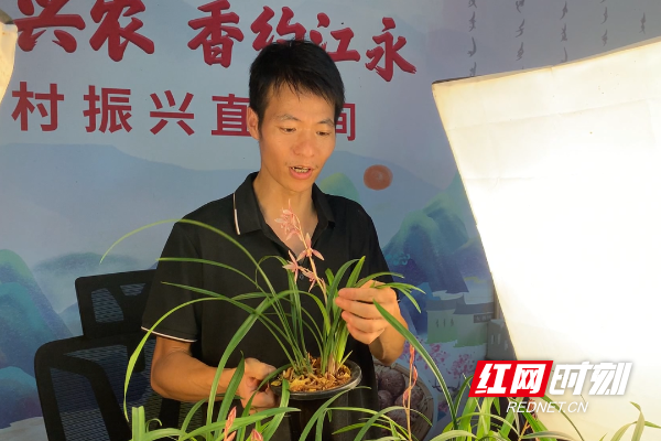 致富户种植帮助措施_农民致富种植项目_帮助种植户致富