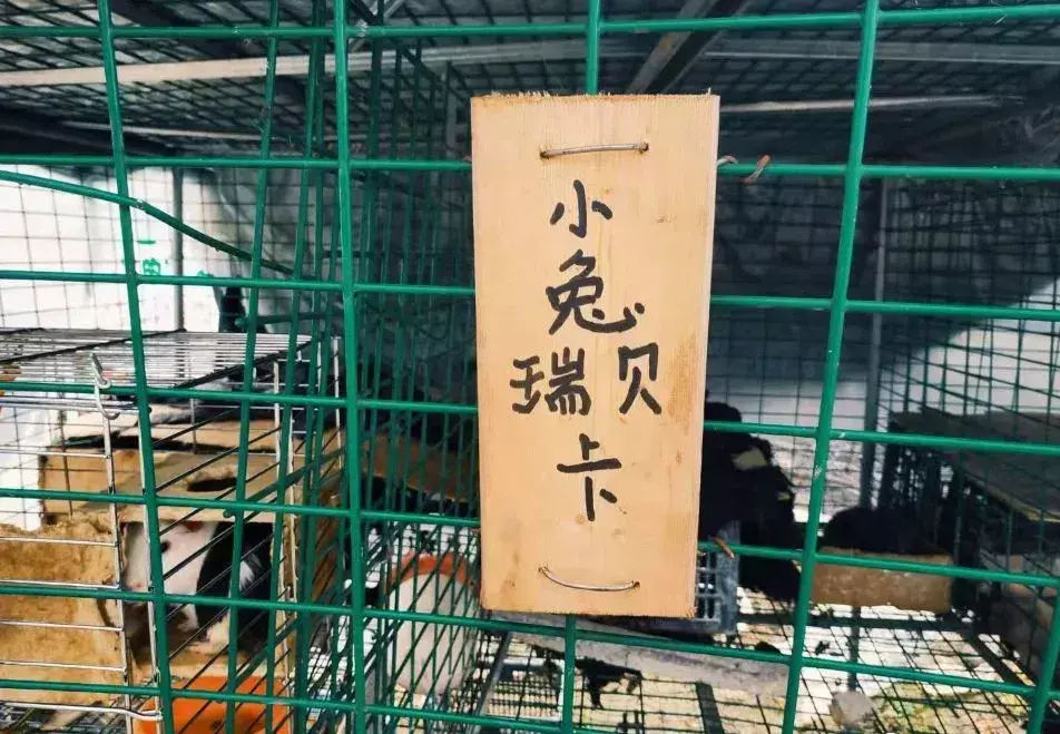 致富经养_致富经养直了_371种养致富经