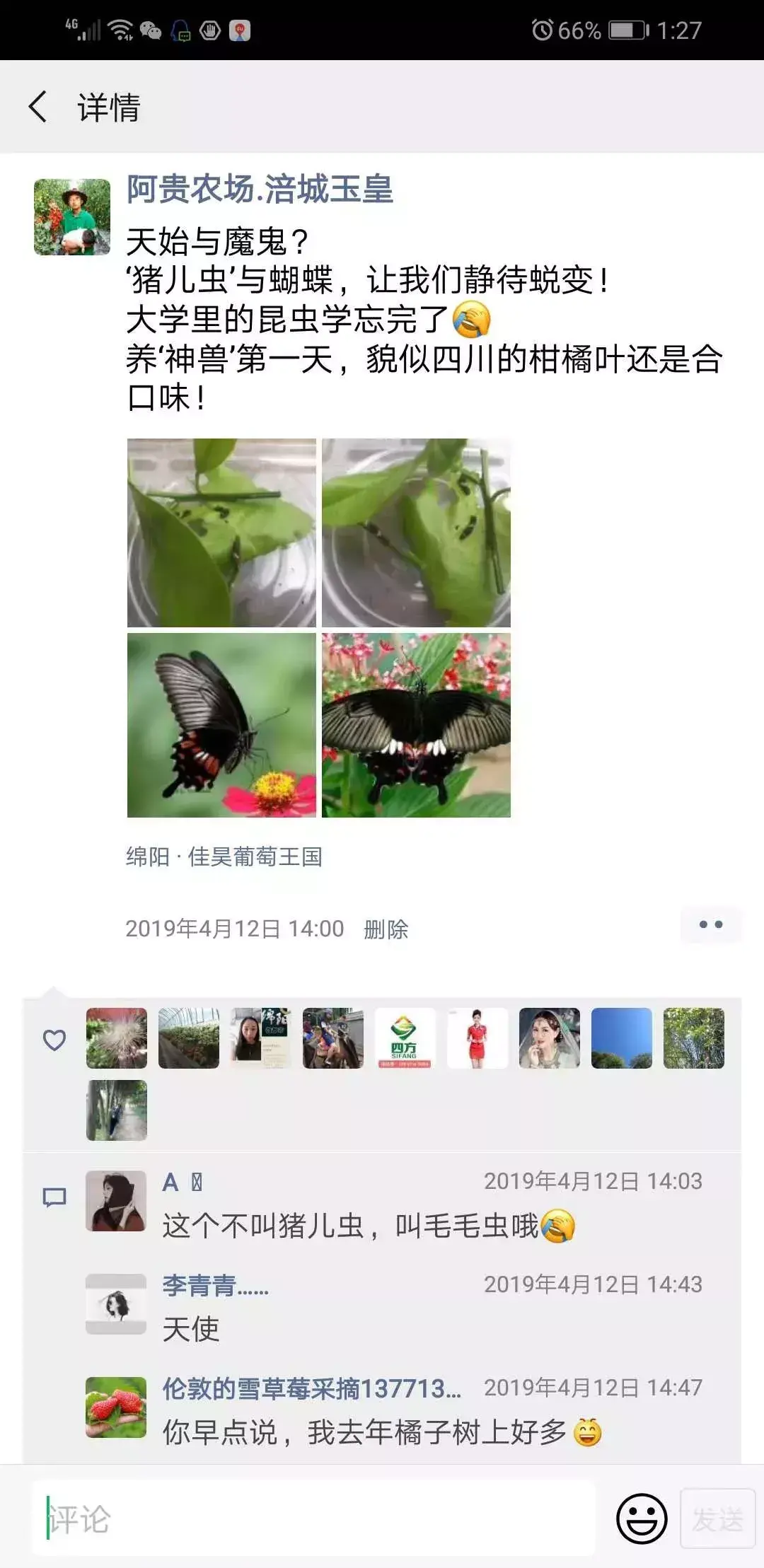 371种养致富经_致富经养直了_致富经养