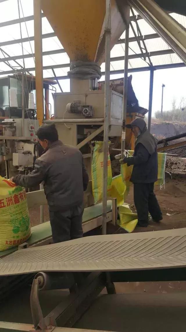 “智慧养殖+循环利用”闯出脱贫致富路--记太谷县鸿昊养殖专业合