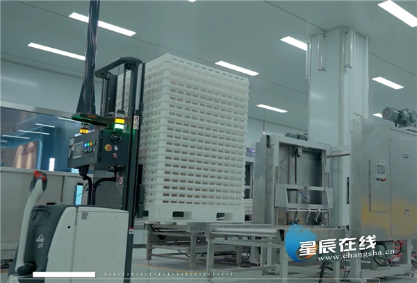 蚕养殖环境_海蚕养殖技术_蚕养殖户