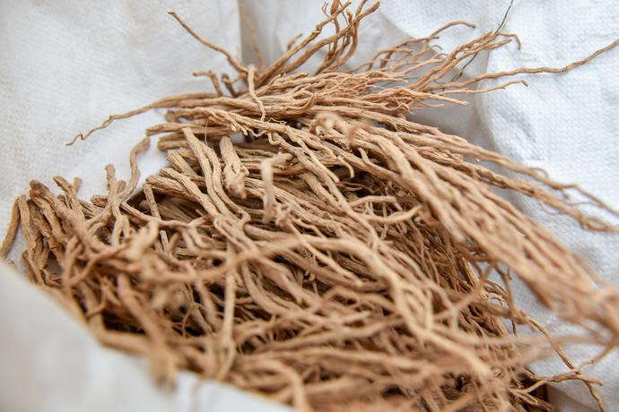致富兰花种植条件_致富兰花种植方法_兰花种植致富经
