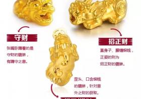 效益养殖火鸡技术规范_火鸡养殖技术及效益_效益养殖火鸡技术要求