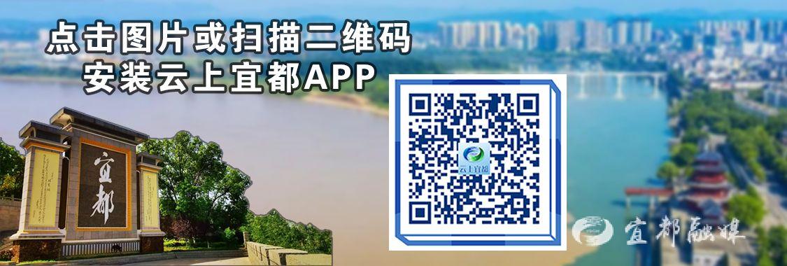 致富经种植茄子_茄子种植效益_致富茄子种植视频