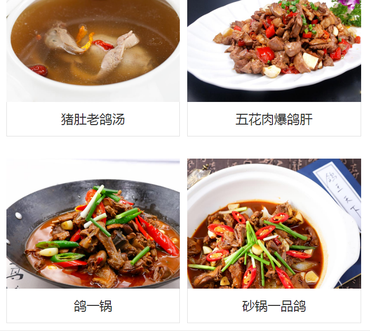 致富经蛋鸽养殖视频_致富经浙江鸽子蛋_鸽子致富经