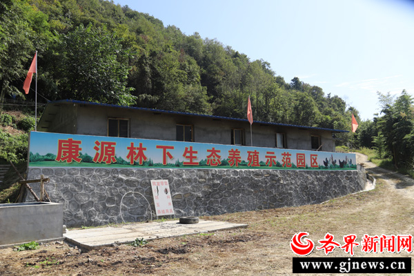 致富养殖土鸡视频_致富养殖土鸡图片_养殖致富土鸡