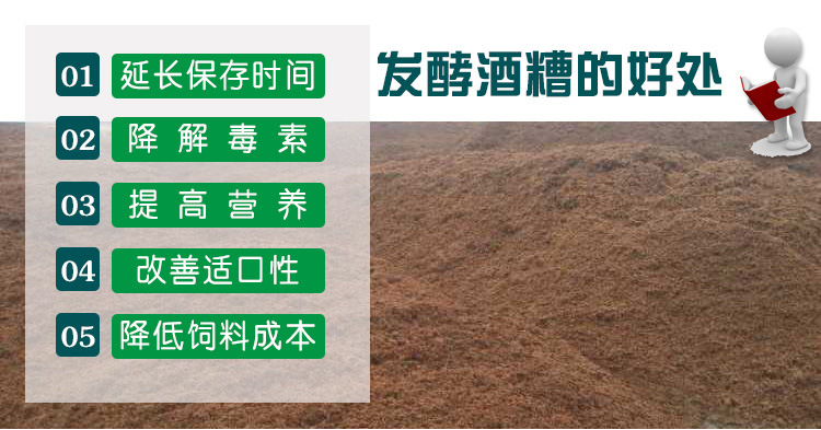 酒糟养殖致富方法_致富养殖酒糟方法有哪些_酒糟养殖什么最好