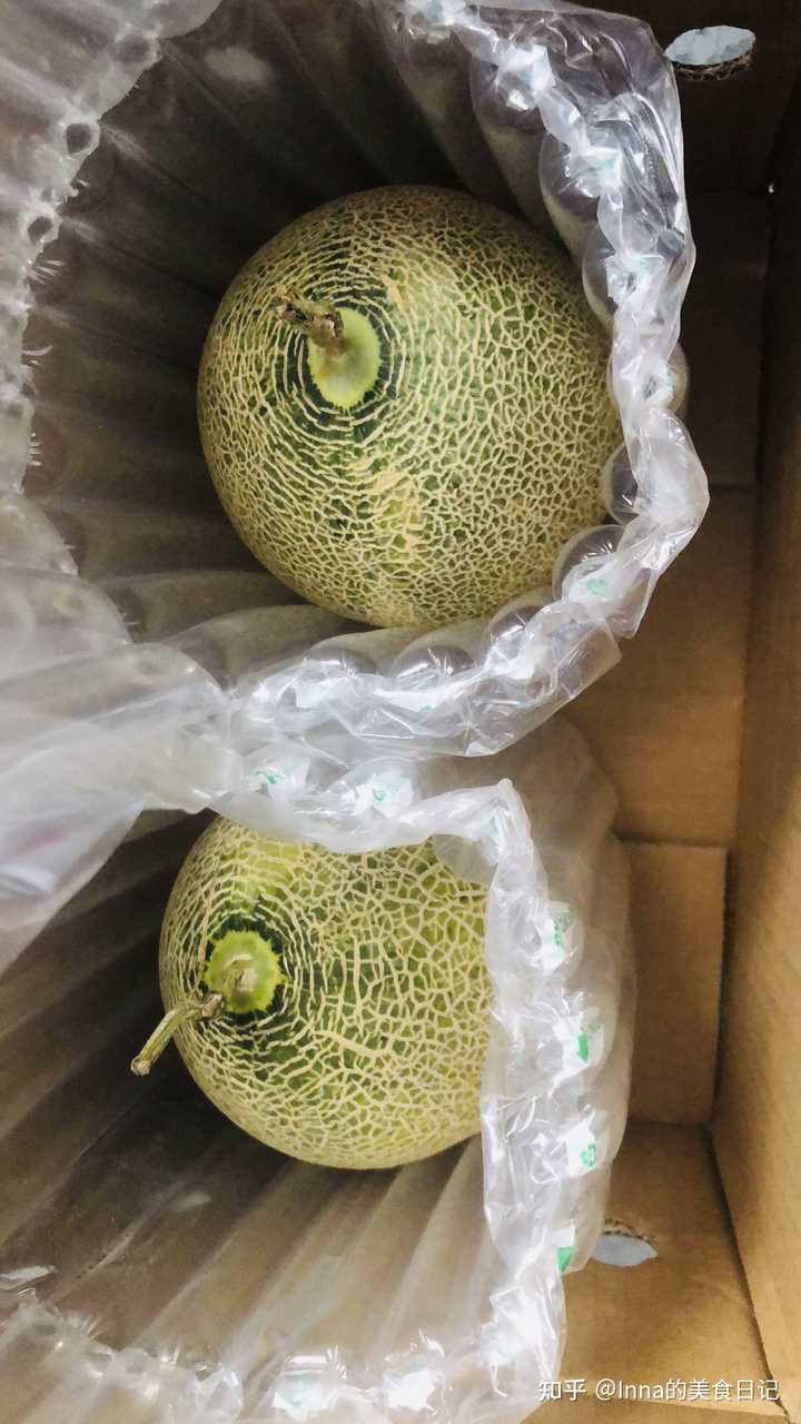 诺尼果怎么吃_诺丽果树种植_诺尼果的种植技术