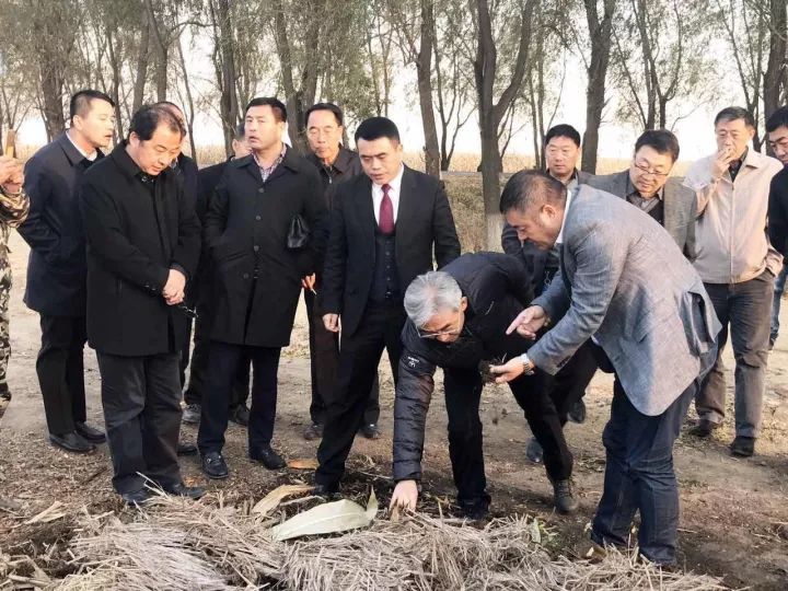 秸秆蚯蚓养殖技术_秸秆养殖蚯蚓技术方法_秸秆养殖蚯蚓技术要求